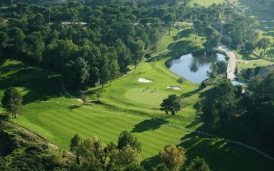 Au Golf de Savenay